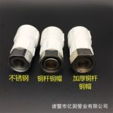 廠家供應(yīng) PPR活接熱水器太陽(yáng)能活接 水表接頭 小活接熱熔接頭配件