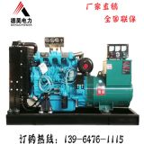30kw50kw75kw柴油發(fā)電機(jī)組 濰柴全銅電機(jī)養(yǎng)殖工地應(yīng)急 柴油發(fā)電機(jī)