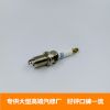 汽車火花塞銥金比亞迪F3/G速銳夏利威志羚羊天語哈弗H3/5五菱之光