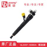 華源萊動柴油發(fā)動機原廠正品4L22CF-10300A噴油器包郵