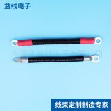 廠家生產(chǎn)彩色耐高溫端子連接線定制新能源線束排線汽車(chē)線束加工