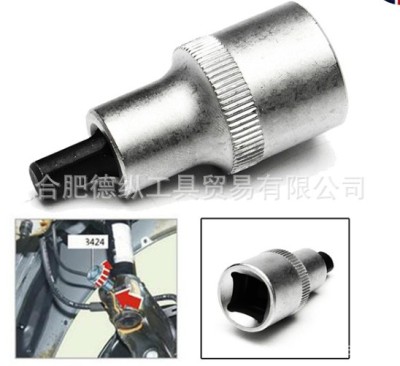 9335007696_1546713573.400400