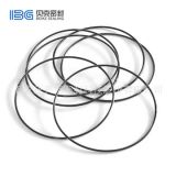 IBG廠(chǎng)家直銷(xiāo)定制ffkm全氟醚O型圈抗等離子耐化學(xué)介質(zhì)全氟醚密封圈