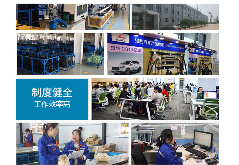 長豐汽車外壓條-詳情_09