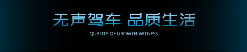 長豐汽車外壓條-詳情_03