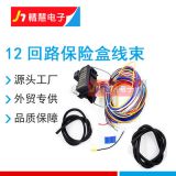 12V汽車通用12回路線束總成12 Circuit Universal Wiring Harness