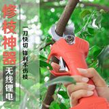 龍威電動(dòng)修枝剪高空高枝剪充電式園藝剪摘果樹枝剪刀大省力粗枝剪