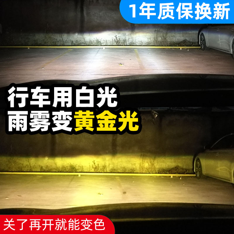 23210275318_588568864