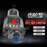 高壓齒輪泵外嚙合合金來圖來樣定制一件代發(fā)