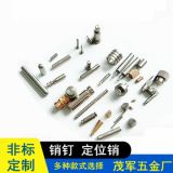 非標(biāo)不銹鋼定位銷釘 圓柱五金尖固定銷子304銷軸金屬滾花銷圓錐銷