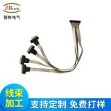 上海廠家加工各類彩排DB9連接器/2651灰排線接線端子線束加工