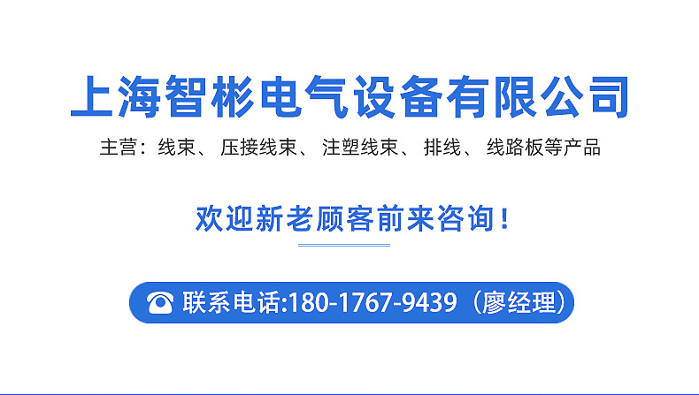 線(xiàn)束內(nèi)頁(yè)_01