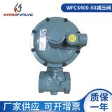 廠家供應(yīng)DN50天然氣減壓閥燃?xì)庹{(diào)壓閥 工業(yè)管道降壓閥燃燒器配件