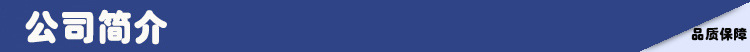 公司簡介