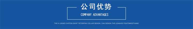 公司優(yōu)勢(shì).jpg