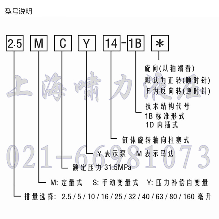 柱塞泵型號說明