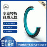 TSS特瑞堡斯特封密封件2K型斯特封B+S