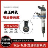適配依維柯索菲姆0986435501發(fā)動機0445120002柴油共軌噴油器