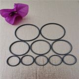 油封彈簧 不銹鋼O型精密彈簧 汽車離合器彈簧密封圈簧廠家定制