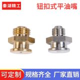 黃銅平扣式油嘴/銅電鍍 黃油嘴型號(hào)DIN3404 M10*1 牛油嘴供應(yīng)