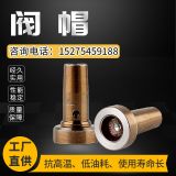 金卓廠家批發(fā)油泵閥帽柴油共軌110系列控制閥蓋Gr15閥帽批發(fā)