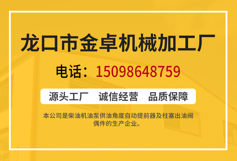 DLC涂層柱塞-(2)_01