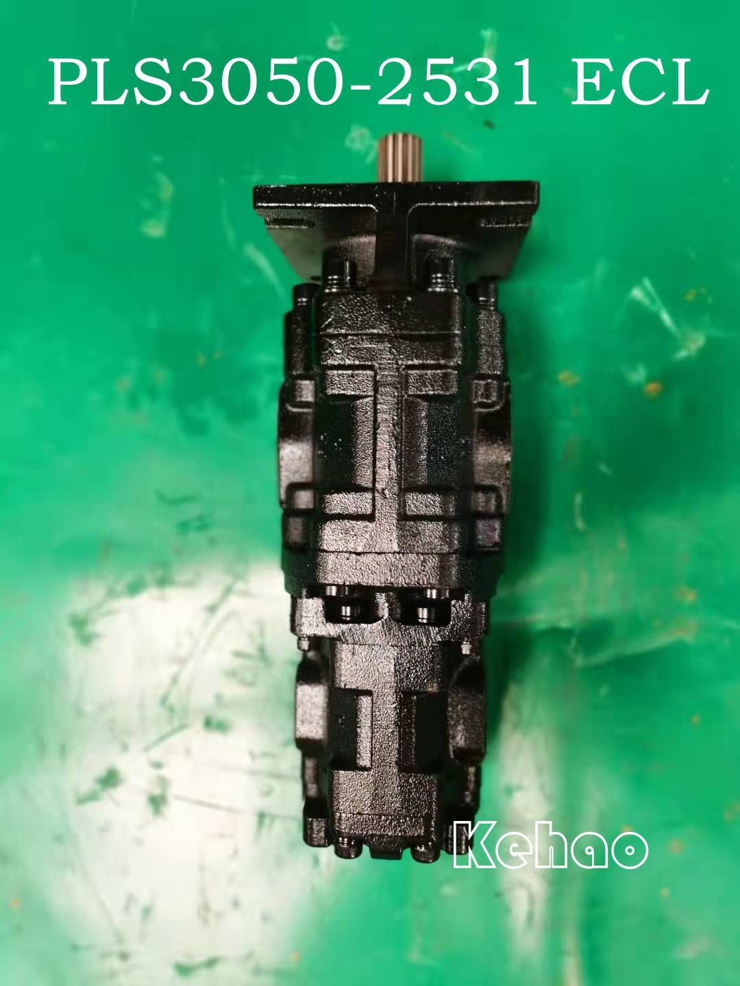 PLS3050-2531 ECL  4_副本