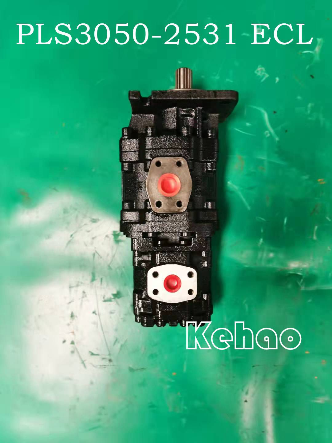 PLS3050-2531 ECL  3_副本