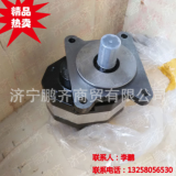 單聯(lián)，雙聯(lián)，三聯(lián)吊車齒輪泵，液壓油泵大量銷售