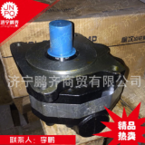 濟寧吊車雙聯(lián)齒輪泵 單聯(lián)液壓泵 50/40油泵大量供應銷售
