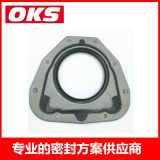 適用于雷諾日產(chǎn)歐寶菲亞特曲軸后油封6000640761 7701476859